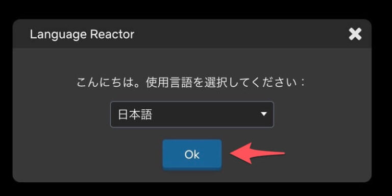 Language Reactor 【Netflixでの外国語学習が捗る】Language Reactorの魅力と使い方